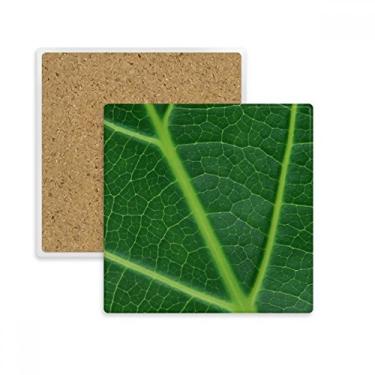Imagem de Porta-copos quadrado com estampa de planta verde escuro e estampa de ilustração da natureza