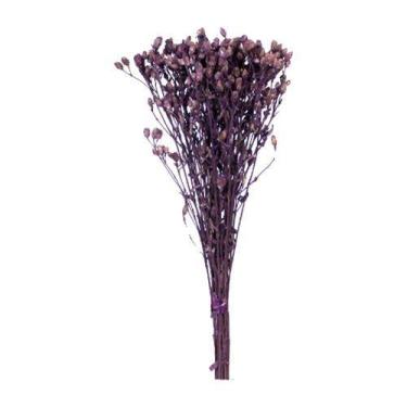 Imagem de Capim Ramo Roxo p/ Decoração - Tem Flores