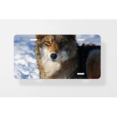 Imagem de Capa para placa de licença Coyote – Capa para placa de carro – Capa para placa de carro 15,24 x 30,48 cm