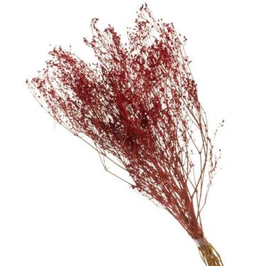 Imagem de Buque de Flores Secas Gypsofila Roxo - Pense Flores, Vermelha