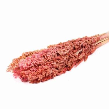 Imagem de Planta Seca Sorgo Rosa Claro 60cm - Pense Flores