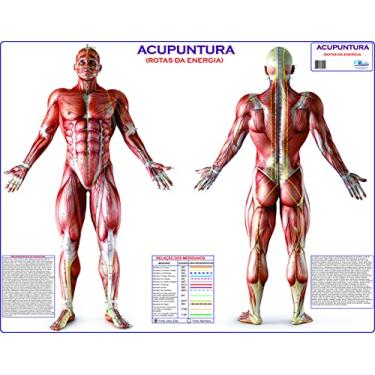 Imagem de MAPA - ACUPUNTURA - ROTAS DA ENERGIA - GIGANTE: LARGURA 117 CM X ALTURA 89 CM