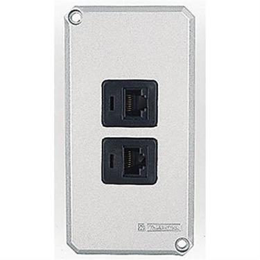 Imagem de Tampa para condulete 1/2" e 3/4" com 2 tomada RJ45 [cat.5E] TAMPAS PARA CAIXAS DE DERIVAçãO - TRAMONTINA