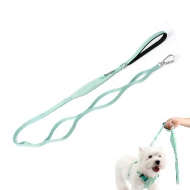 Imagem de BuddyArmor Coleira para cães com bolso, coleira de treinamento para cães com 5 alças, coleira leve para cães resistentes com mosquetão de trava giratória para cães pequenos, médios e grandes,