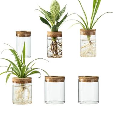 Imagem de Conjunto de estação de propagação de plantas de vidro – Vaso de vidro para plantio de água para mudas de ervas, enraizamento de água suculenta – Jarras de mesa para casa, escritório, sala de estar
