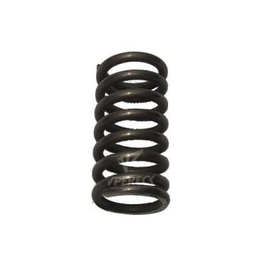 Imagem de Mola Diferencial Dianteiro Para Iveco Trakker - 2443215 - ORIGINAL