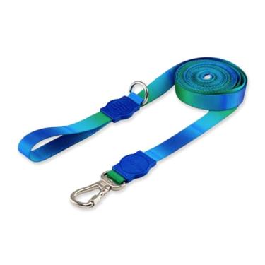 Imagem de Dog Trip Brasil Coleira Guia 10 Metros Para Cães Cachorro Adestramento Passeio Porte Grande Médio Pequeno (P, Bangli)