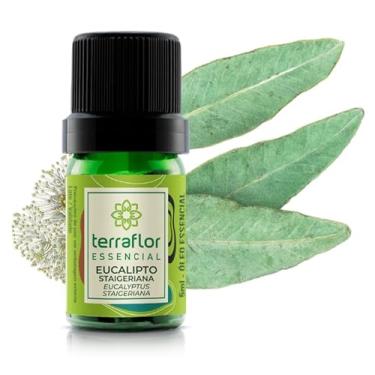 Imagem de Óleo Essencial Eucalipto Staigeriana 5ml - Terra Flor