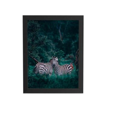 Imagem de Zebras Floresta Natureza Foto Quadro Moldura Preta 60X40Cm
