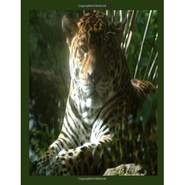 Imagem de Notebook: Large 8.5x11 "Beautiful Tiger" Wide Ruled Composition Notebook - 100 Pages, Great For Writing, Drawing, Sketching, Doodling at School, Work or Home