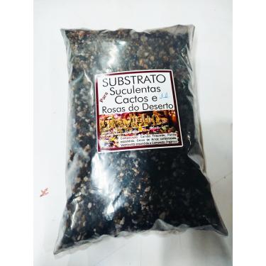 Imagem de Turfa, Perlita, Arroz Carbonizado, Vermiculita - Substrato Misto - Suculentas - Cactos 1 L (1)