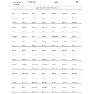 Imagem de Cartela de rifa com 800 nomes