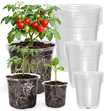 Imagem de MIXC Vasos transparentes para berçário com orifícios de drenagem, 16,5/5/10 cm de plástico transparente reforçado para iniciantes, para plantador de mudas de jardinagem interna e externa, pacote com