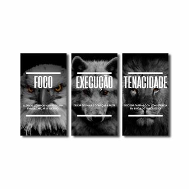 Imagem de Quadro Decorativo Foco Execução Tenacidade Águia Lobo Leão