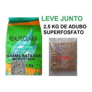 Imagem de Sementes Incrustadas De Grama Batatais 1 Kg + 2,5kg De Adubo - Realpec
