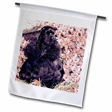 Imagem de 3dRose Black Cocker Spaniel - Bandeira de jardim, 30 x 45 cm (fl_801_1), varia