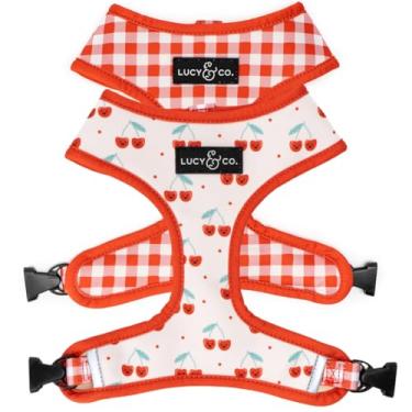 Imagem de Lucy & Co. Cute Reversible Dog Harness Walking Halter - Best Designer Pet Harnesses for XS - XL Dogs - Padded Adjustable Vest for Easy Walking (X-Small, Cheery Cherries)