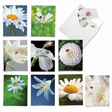 Imagem de My Fair Ladybug - 10 cartões de agradecimento florais brancos com envelope (10 x 13 cm) - Lindas flores, cartões de agradecimento para todas as ocasiões - Cartões de agradecimento AM6332TYG-B1x10