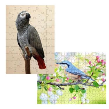 Imagem de 2 Quebra-Cabeças Inclusivos 40 peças  Aves Belas para Mentes Inteligen