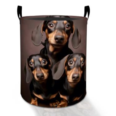 Imagem de Cesto de roupa Dachshund para meninos, meninas, crianças e adultos, caixa de armazenamento de roupas Oxford dobrável à prova d'água, organizador de cães para quarto, banheiro, decoração de quarto, 50