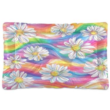 Imagem de SEHANY Cama de arco-íris para cães e gatos com fundo antiderrapante, cama de canil, colchão macio para animais de estimação, lavável, almofada de cama para cães pequenos, médios e grandes, gatos, 91 x