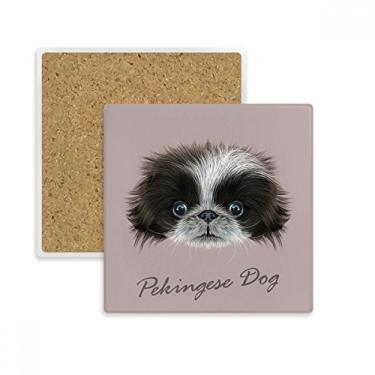 Imagem de Porta-copos quadrado de animal de estimação preto e branco com pedra absorvente para bebidas, presente de 2 peças