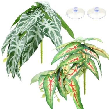 Imagem de QUOZUO Pacote com 2 plantas répteis para terrário, decorações de habitat de folhas artificiais com ventosas, plantas penduradas em terrário, videiras para dragões barbudos, lagartos, cobras