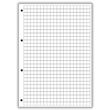 Imagem de Refil de fichário quadriculado 80 folhas A4