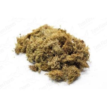 Imagem de Musgo Buxinho pc 10 Lts Para Orquideas e Decoração - Pense Flores