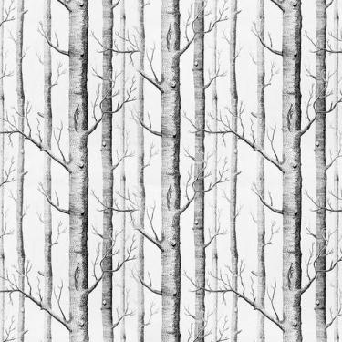 Imagem de Papel de Parede Adesivo Casual Galhos Secos - 041 - Multimpressão