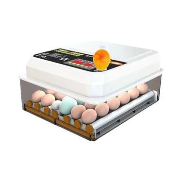 Imagem de Incubadora Automática De 16 Ovos, Mini Incubadora Elétrica Dupla Para 