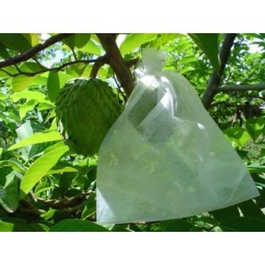 Imagem de Sacos de Proteção para Frutas no Pé