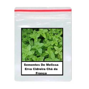 Imagem de 70 Sementes De Melissa Erva Cidreira Chá da França - SEEDS