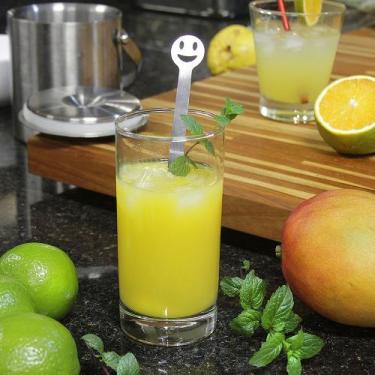 Imagem de Mexedor de Drinks e Sucos - Bar - Smile - Inox - 2 Peças - Maxx Diamon