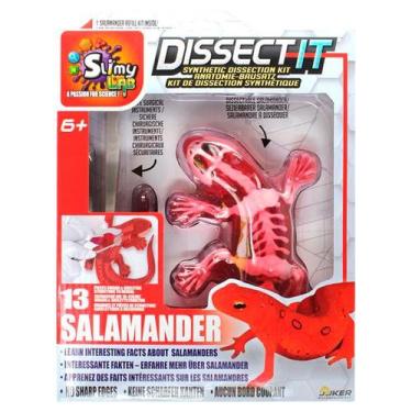 Imagem de Kit de Dissecação com Refil Lab Dissect-It - Salamandra - Slimy
