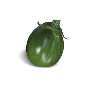 Imagem de 100 Sementes De Jiló morro redondo - SEEDS