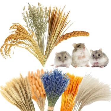 Imagem de ZHLKHIOP 106 Palhinhas de hamster, enriquecimento natural de hamster para pequenos animais de estimação, decoração de habitat DIY, palha de arroz para mastigar hamsters sírios, gerbos, ratos e outros