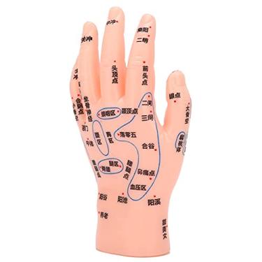 Imagem de Homan Modelo de acupuntura manual, ponto preciso de acupuntura manual, modelo seguro, mão esquerda, firme, material de ensino escolar para hospitais, clínicas, adereços de exibição