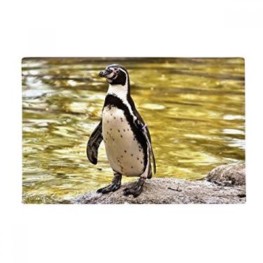 Imagem de DIYthinker Tapete antiderrapante para porta de banheiro com pinguim do mar do sul da ciência da Antártica