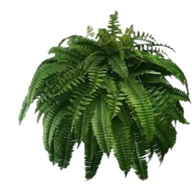 Imagem de YYGJYGOO Samambaias falsas, plantas artificiais, plástico resistente a UV, arbustos, plantas falsas de samambaia para casa, jardim, pátio, decoração interna e externa (38 folhas, 1 peça)