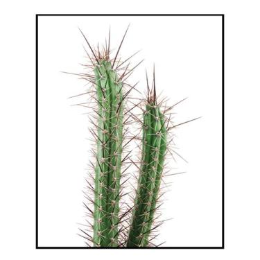 Imagem de Quadro Decorativo Barcelona Cacto Cereus 40X50 Cm - E2G Design