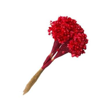 Imagem de Buquê Flores Sempre Viva Desidratadas Florzinhas Secas Maço com 600 Fl