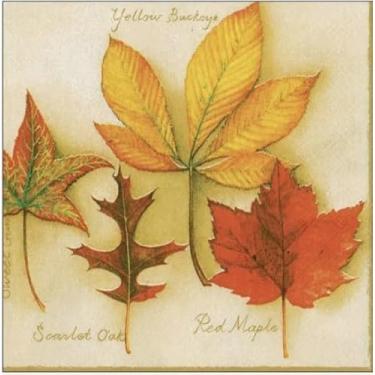 Imagem de Conjunto de dois guardanapos de papel para bebidas individuais (não embalagens), folhas de outono, folhas de outono, espécies, bordo, carvalho, folha de balde, natureza, para decoupage, arte DIY