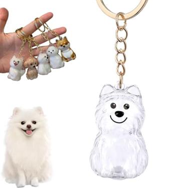 Imagem de YUSAVHO Chaveiro de colecionador de pelos de cachorro, lembrança memorial de animais de estimação, caixa de medalhão de pelo de animais de estimação, pingente de pelo de cachorro transparente