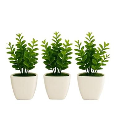 Imagem de Vaso Com Ramo De Eucalipto Artificial Buchinho + Vasinho Quadrado De Musgo Branco DecoraçãO Enfeite Para Casa Altamente Decorativo E Esteticamente AgradáVel(3)