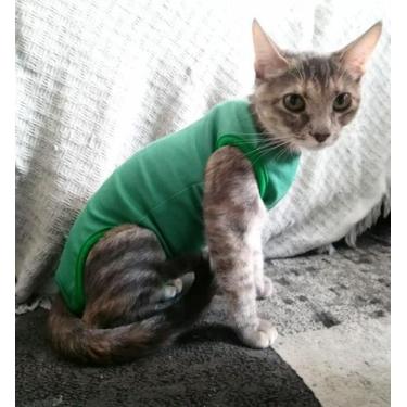 Imagem de Roupa Pós Cirúrgica Para Gatos - Pequeno - King of Pets