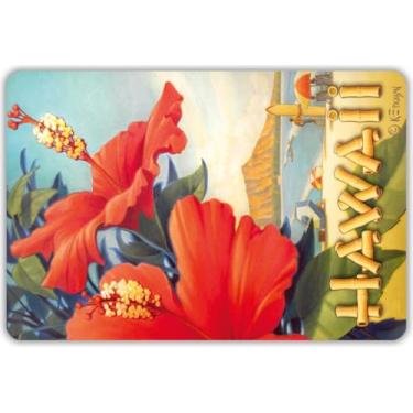 Imagem de Pacote com 30 cartões postais havaianos vintage - Dia de praia de hibisco por Kerne Erickson