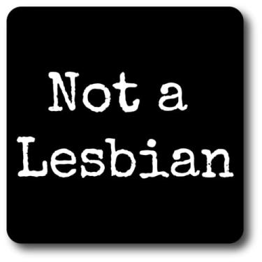 Imagem de Pacote de adesivos Not a Lesbian – Pacote com 2 adesivos LGBTQ Pride de 10 x 10 cm – Decalques engraçados JoJo para laptops, carros, garrafas de água, capacetes, skates, telefones
