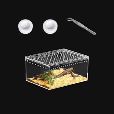 Imagem de KAKOOTI Terrário PC réptil 20 x 15 cm x 10 cm, caixa de tarântula, kit inicial de tanque de aranha, habitat de caranguejo eremita, compartimento de lagarto, caixa de inseto, gaiola de aranha saltadora