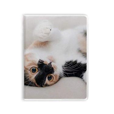 Imagem de Caderno com listras de gatinho para dormir com estampa de animal e goma